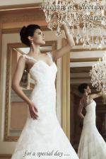BJ.Elegance Feline-